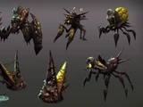 Insect spirits