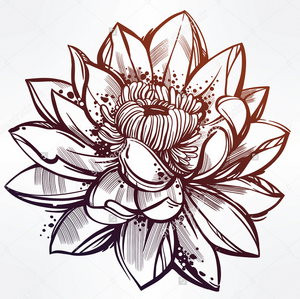 Lotus Flower (GetDrawings