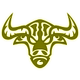 Srr auras bull