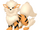 Ailey's Arcanine