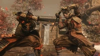 Sekiro sword fight