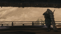 Owl Enjoys the View