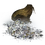 Adamantite Scrap.png