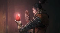 Sekiro Praying
