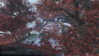 Vermillion Bridge