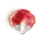 Treasure Carp Scale.png