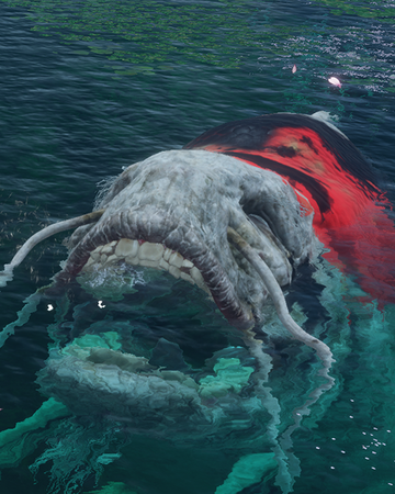 Great Coloured Carp Sekiro Shadows Die Twice Wiki Fandom It has two red eyes. great coloured carp sekiro shadows