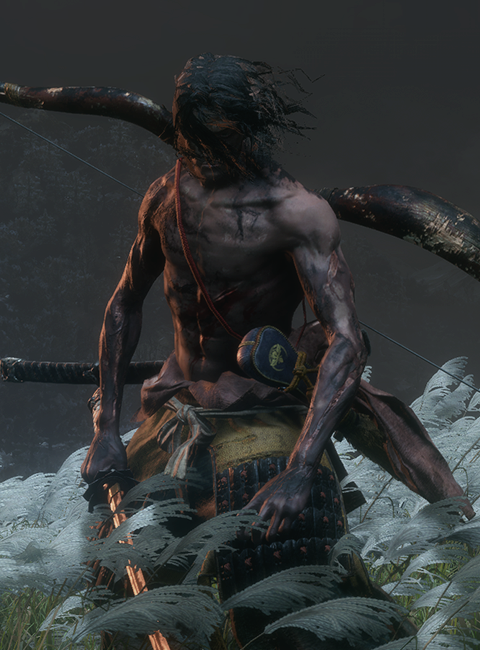 Isshin, the Sword Saint | Sekiro: Shadows Die Twice Wiki | Fandom