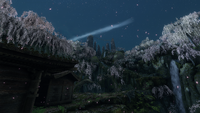 Sanctuary