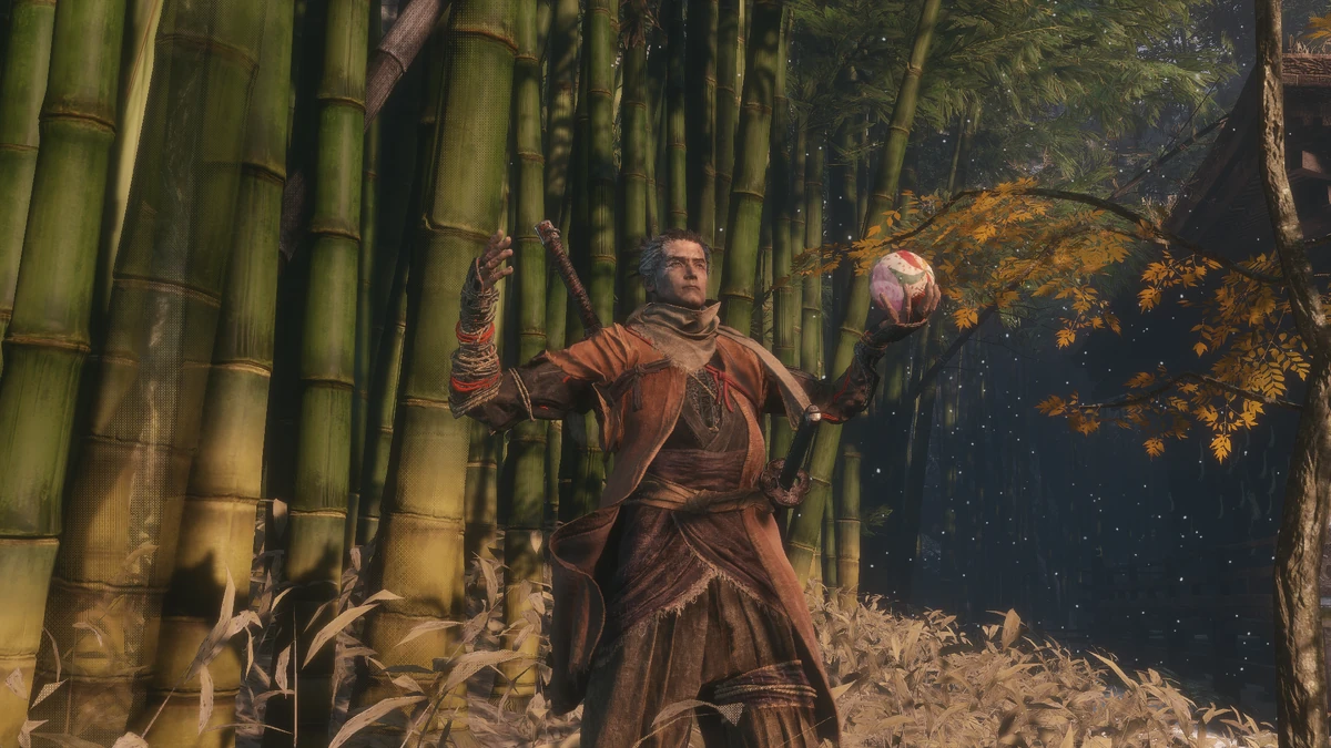 Mibu Pilgrimage Balloon Sekiro Shadows Die Twice Wiki Fandom