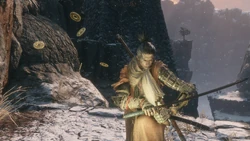Light Coin Purse Sekiro Shadows Die Twice Wiki Fandom