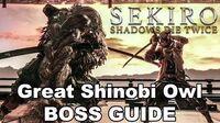 Sekiro Boss Guide - The Great Shinobi Owl