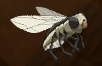 Bareback Sand Fly.png