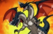 Twin-Headed Dragon summoned in the anime series