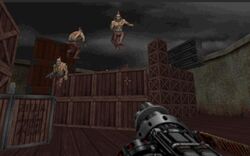 Evil Ninjas, Shadow Warrior Wiki