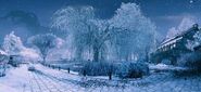 Snowy