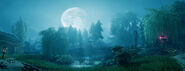 Night