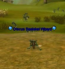 Discus Wizards Sealakel