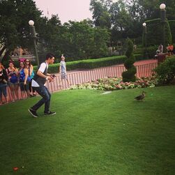 Roshon-fegan-looking-at-a-duck