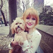 Bella-thorne-wirh-her-Kingston