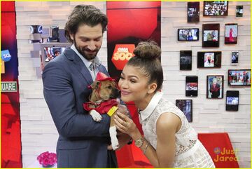 Zendaya-shoe-line-gma-appearance-02