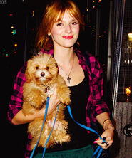 Bella-thorne-pink-checked-shirt-with-kingston