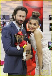 Zendaya-shoe-line-gma-appearance-08