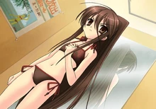 Shana in the Fitting Room (シャナの試着室?)