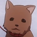 Close-up of Ekaterina's face