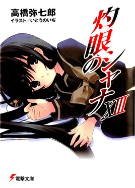 Shakugan no Shana Light Novel Volume 13 cover