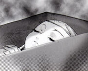 Tis' body preserved inside the "Pure Coffin"
