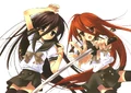 Duality of Shana (Light Novel)