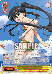 WS Premium Mizugi no Shana parallel