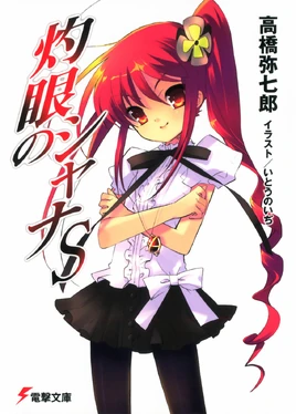 Shakugan no Shana Light Novel Volume S cover