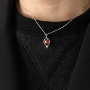 The necklace worn.