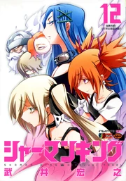 SK Remix Volume 12