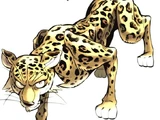 Mic the Jaguar