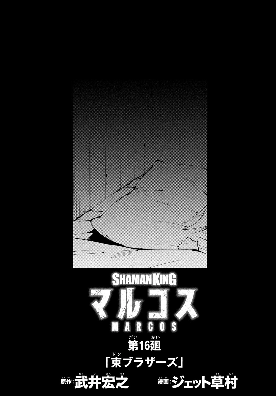 Reincarnation 16 (Marcos) Shaman King Wiki Fandom