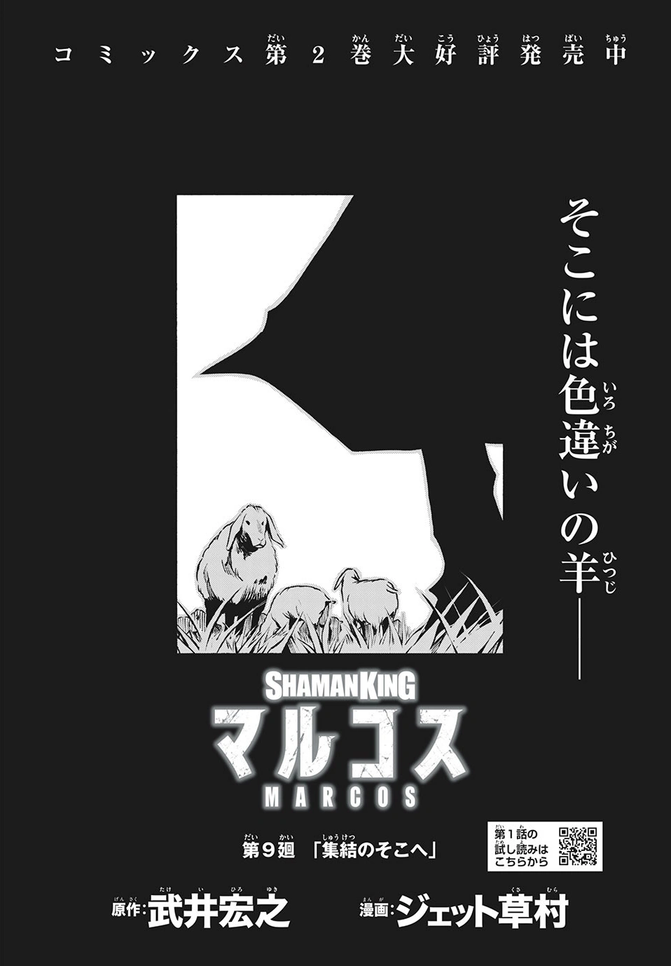 Reincarnation 9 (Marcos) Shaman King Wiki Fandom