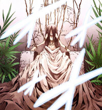 Asakura Hao Shaman King Wiki Fandom Asakura Hao Shaman King Wiki Fandom