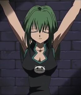 アニメ Tao Jun tao | Shaman King Fanon Wiki | Fandom