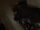 Gunshot