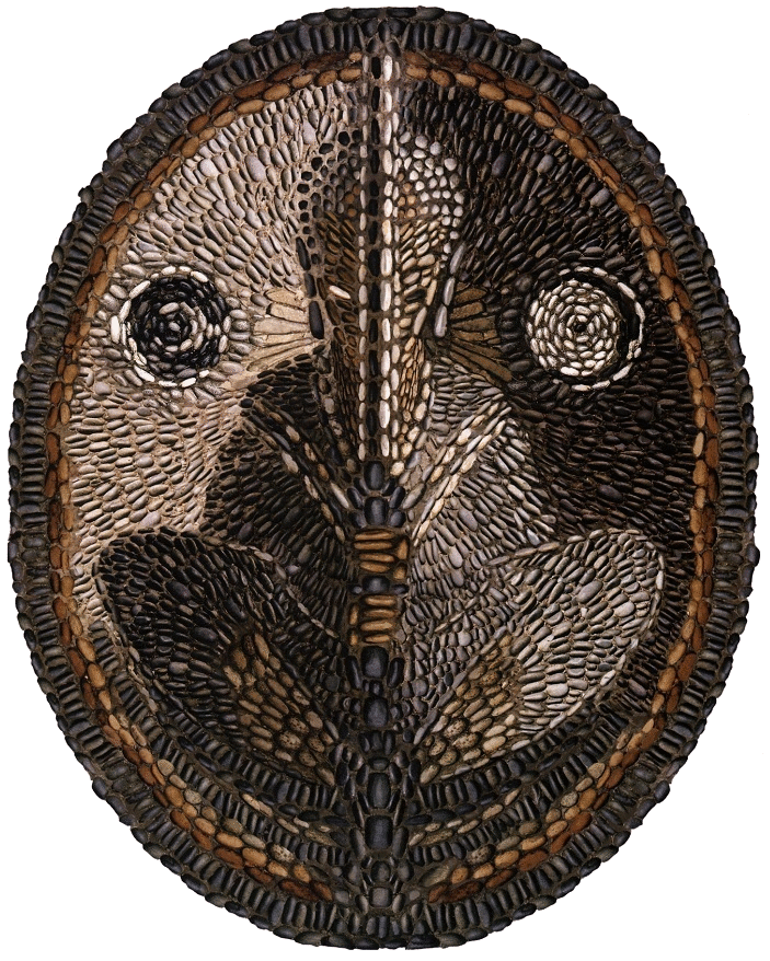 Odin, Shaniverse Wiki