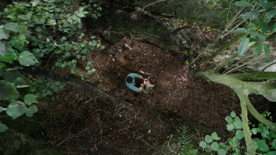 Shea is bullied by other villagers for presuming to date Heady even though he has Elven blood and she doesn't.