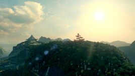 Daytime