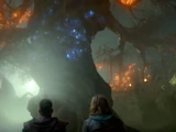 Ellcrys (Episode)