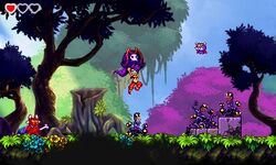 Shantae and the Pirate s Curse Shantae Wiki Fandom