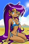 Shantae from one of the ending screens of Risky's Revenge