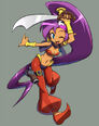 Pirate Shantae in The Pirate's Curse.