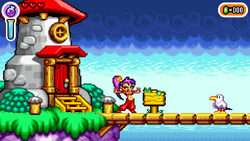 Game Boy Color, Shantae Wiki